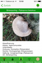 Profile der Pilze und Erklärung der Wirkungsweise